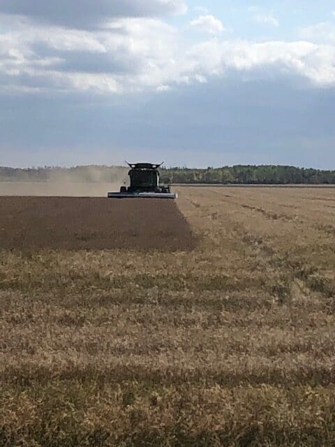 Modern Flax Seed Harvesting - Goldenflax.com