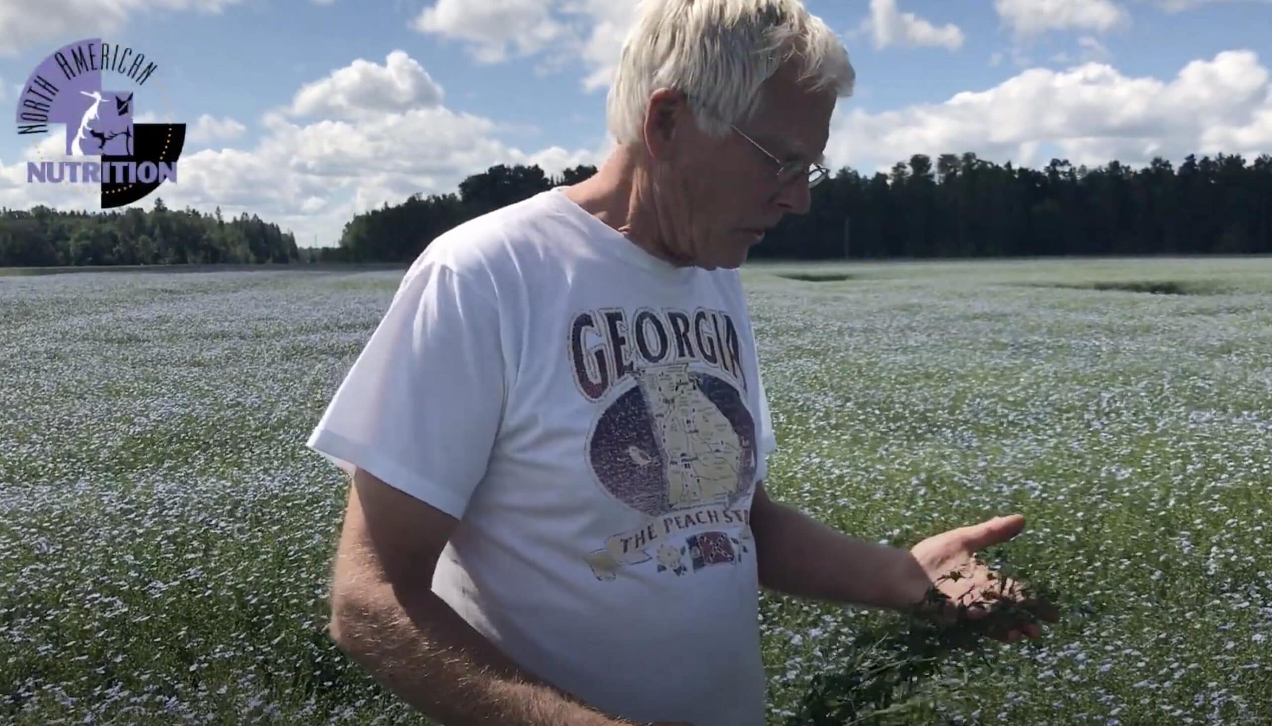 Growing Flaxseed for Maximum Nutritional Value