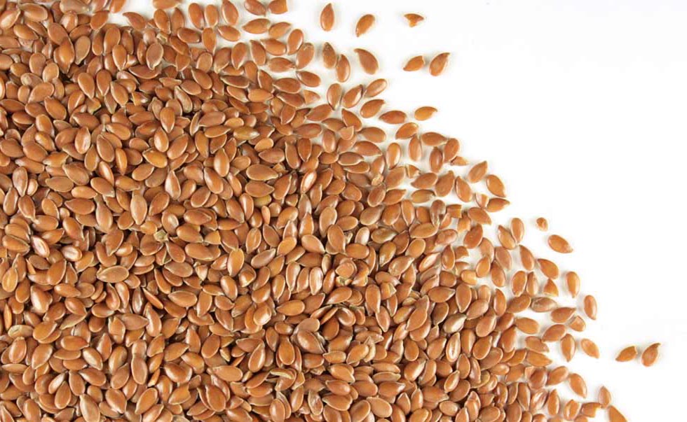 NON-GMO FLAXSEED