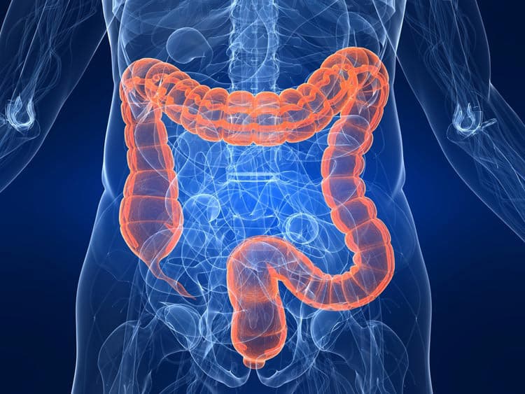 Flaxseed Colon Cleanse