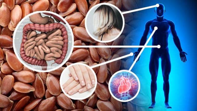 The amazing benefits of flax seed for men's health.